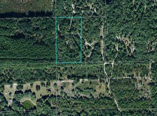 2879 Dennis Howell Rd, Perry, FL 32348