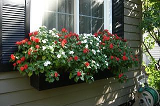 Flower boxes