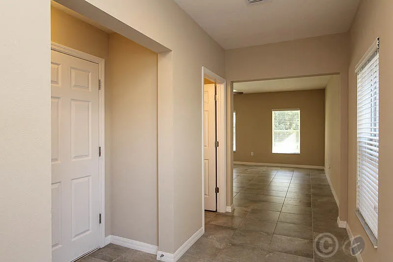 5206 Bannister Park Ln | FishHawk Ranch — Photo 3