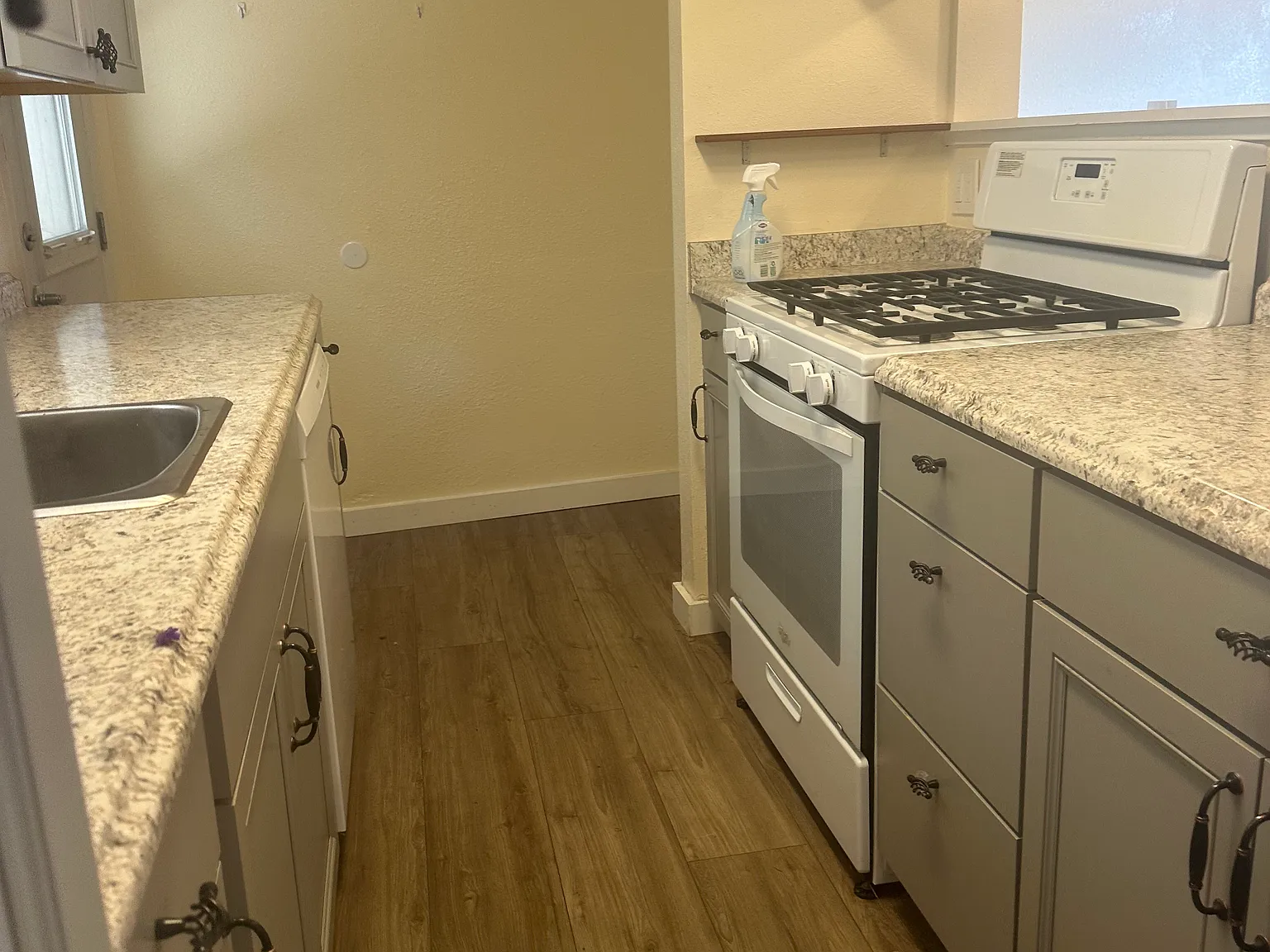 1 bed, 750 sqft, $2,325 — Photo 3