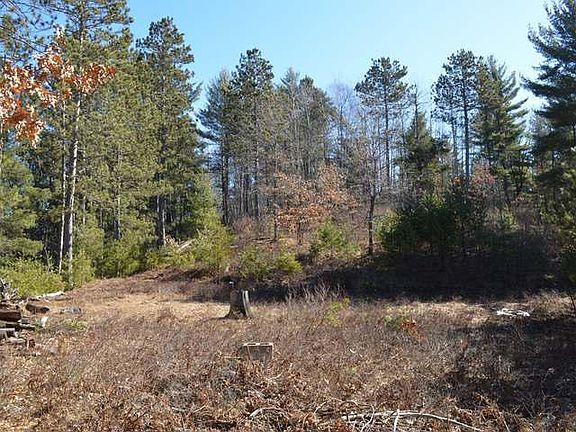 4th image of 3607 Eagles Nest Ln