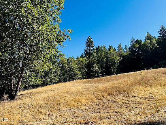 5th image of 297 Arbor Ridge Dr