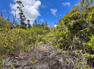 9th Avenue Kalaunu Lot 978, Keaau, HI 96749