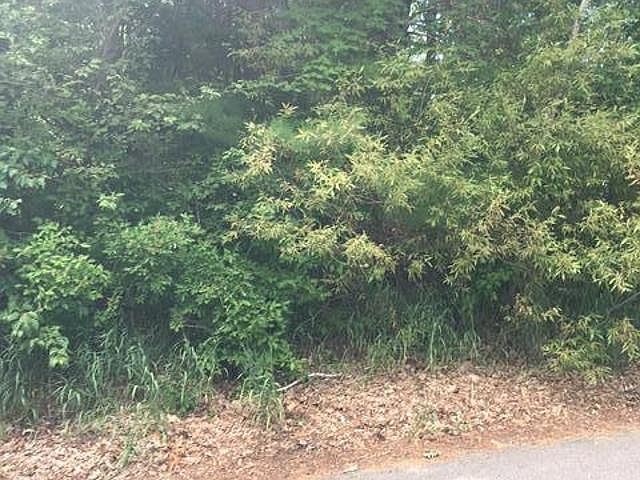 2nd image of Pebble Creek Dr