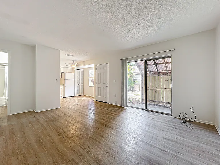 Living room and kitchen
