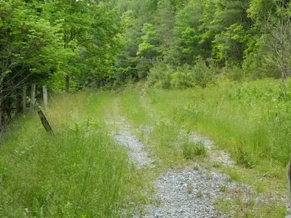 23384 Lakeview Dr, Abingdon, VA 24211