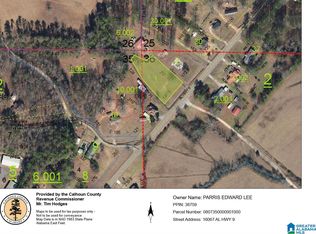 16067 S Highway 9 #0, Piedmont, AL 36272