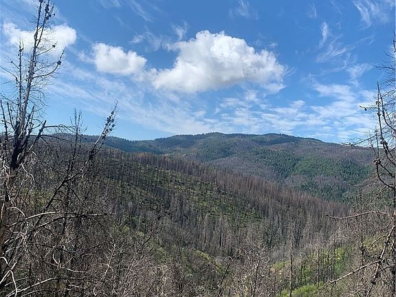 2nd image of 21025 Elk Mountain Rd