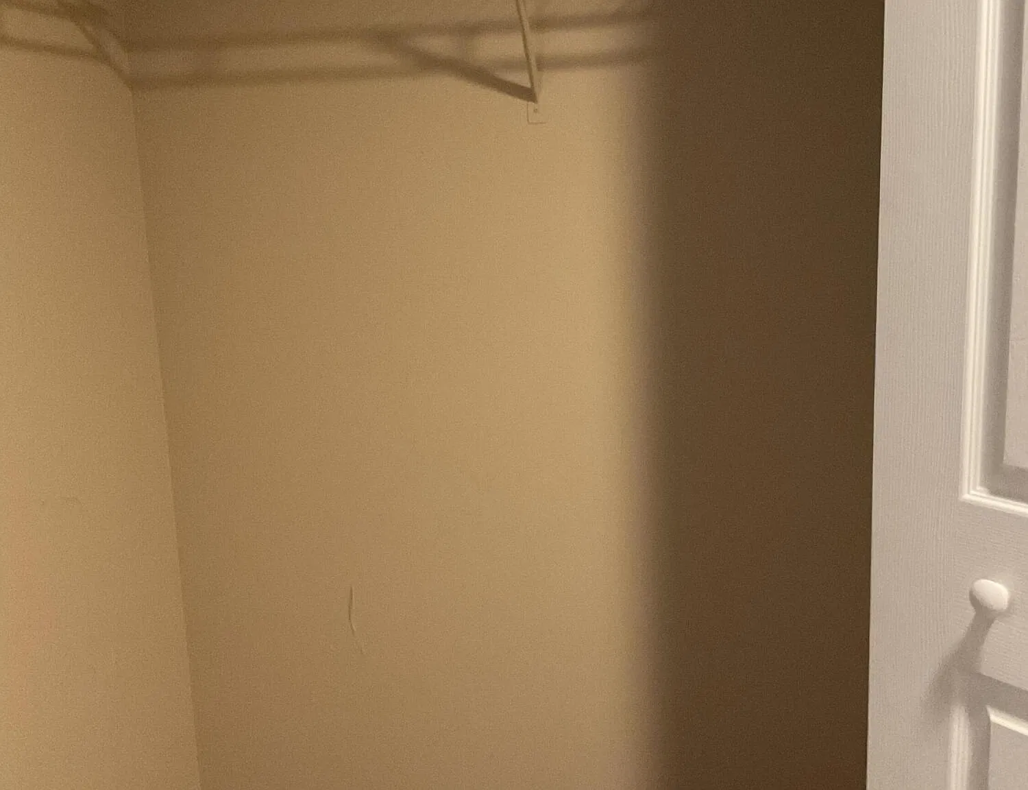 3 bed, 2.0 bath, 1204 sqft, $2,300 — Photo 3