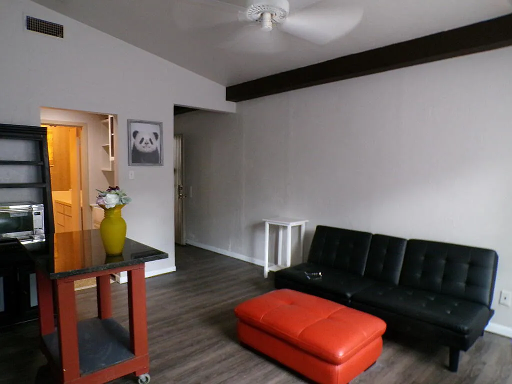 1 bed, 1.0 bath, 480 sqft, $1,200 — Photo 4