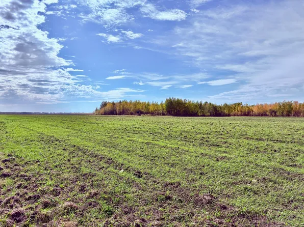 13th Ave SW, Baudette, MN 56623