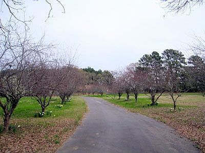 1st image of 15578 County Road 472