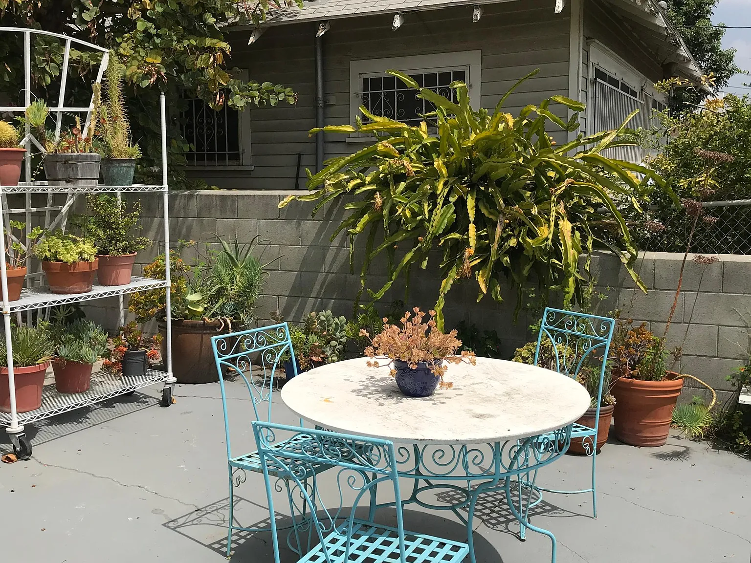 3 bed, 1000 sqft, $3,600 — Photo 3