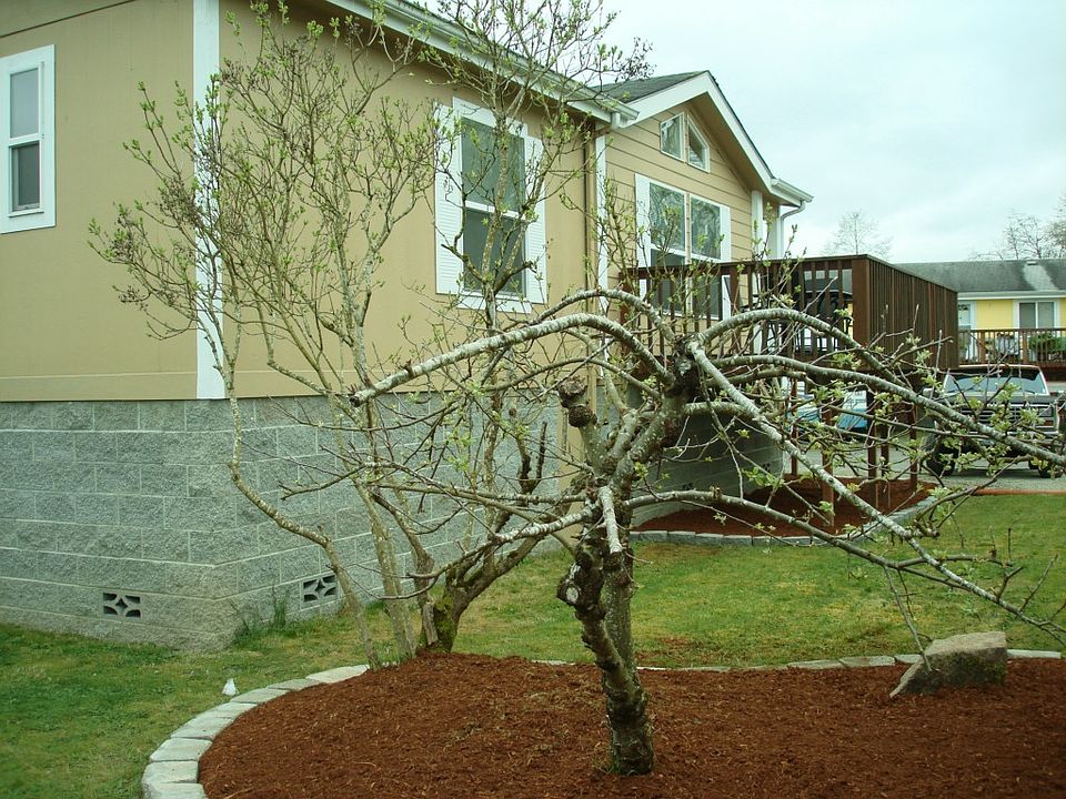 1st image of 7009 140th Avenue Ct E