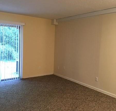 5th image of 1108 Tiger Blvd APT 129