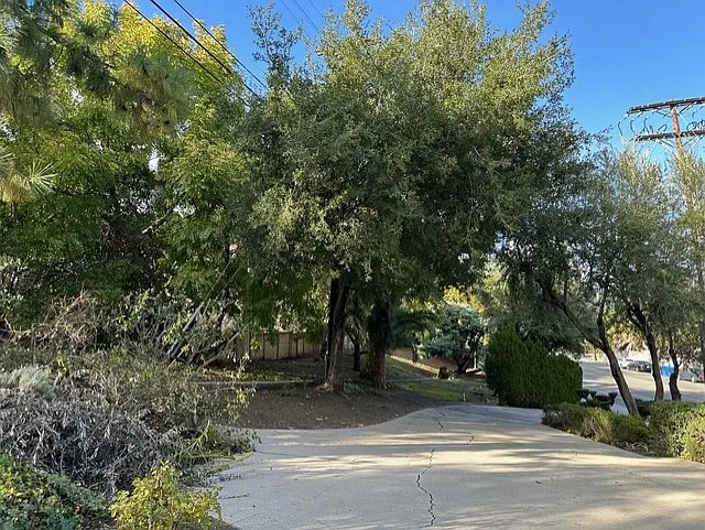 4929 Reseda Blvd — Photo 20