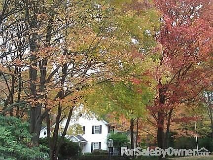 Beautiful wooded lot