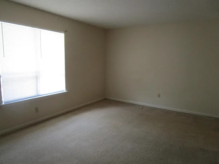 251 Rast St — Photo 7
