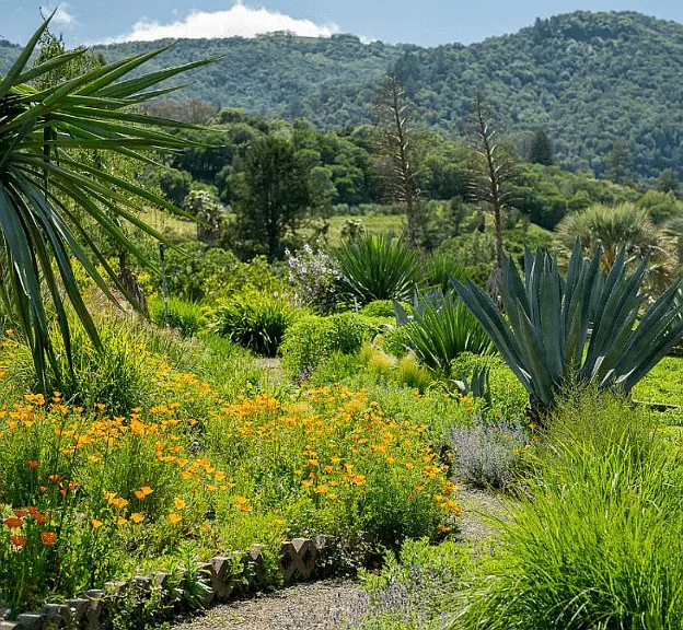 Only 0.7 miles from the House: The Landscaped Terraces of Benziger Family Winery, Home to Biodynamic Gardens, Terraced Vineyards, and Panoramic Views of Sonoma Mountain Across the Estate