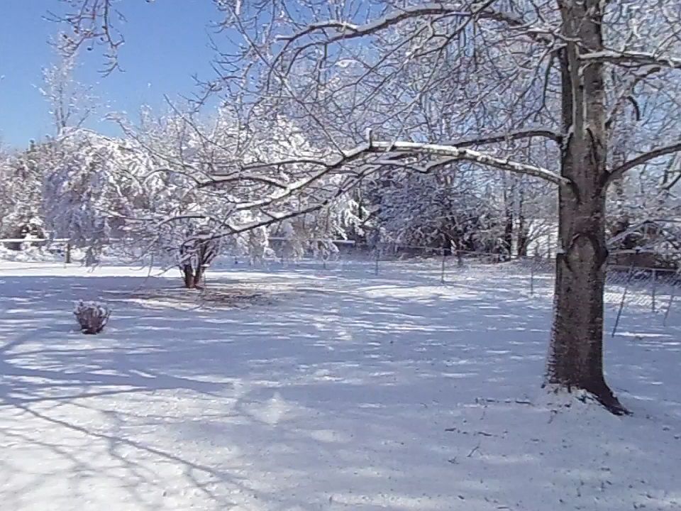 2nd image of 1361 Macedonia Rd