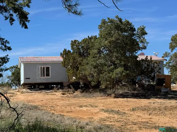 63 Bear Valley Rd, Pinehill, NM 87357