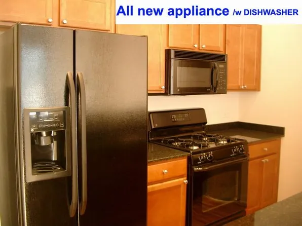 1151 W 14th Pl Unit 206, Chicago, IL 60608