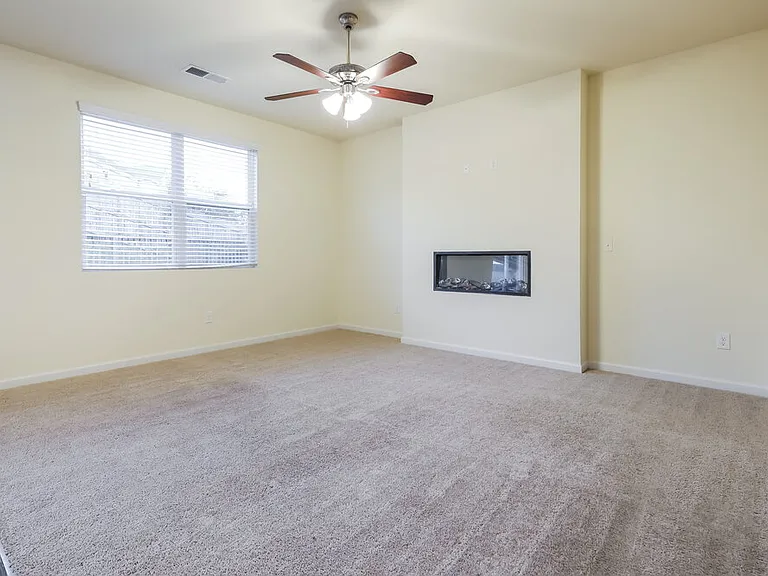 322 Hamilton Pointe Dr — Photo 4