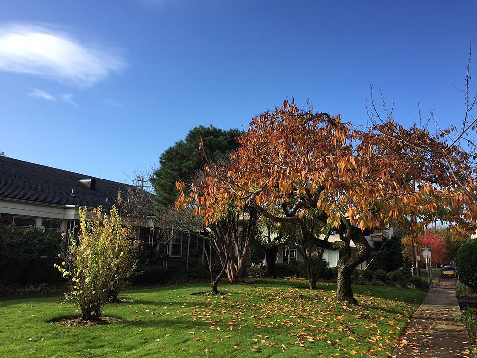Fall at Paradise Villa