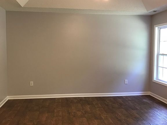 Master BR with tray ceiling 