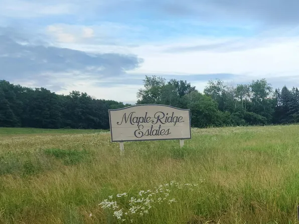 Maple Ridge Trl #6, Iola, WI 54945