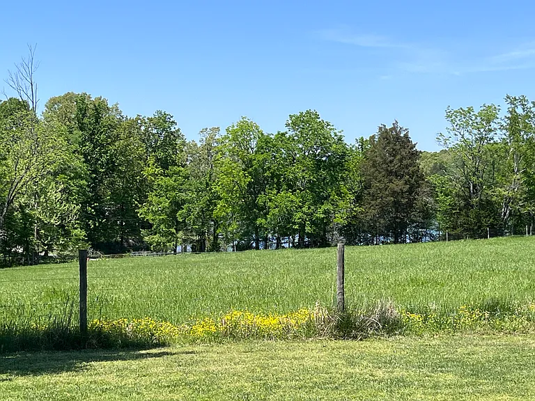 1000 Raintree Ln — Photo 35