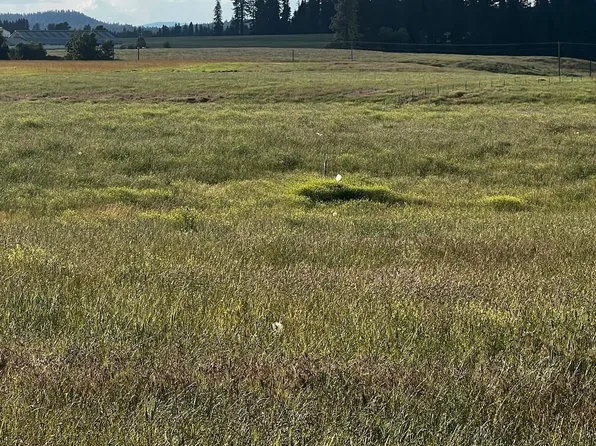 33 N Spotted Rd, Deer Park, WA 99006