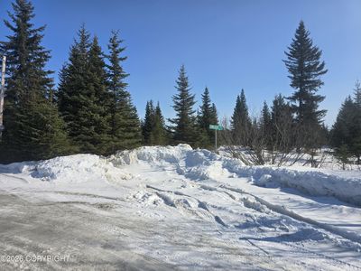 L2 Sunshine Pl, Anchor Pt, AK, 99556