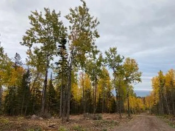 0 Aspen Ln, Silver Bay, MN 55614