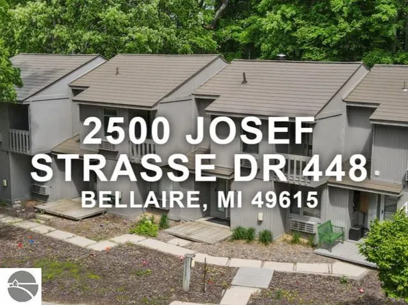 2500 Josef Strasse #3448, Bellaire, MI 49615