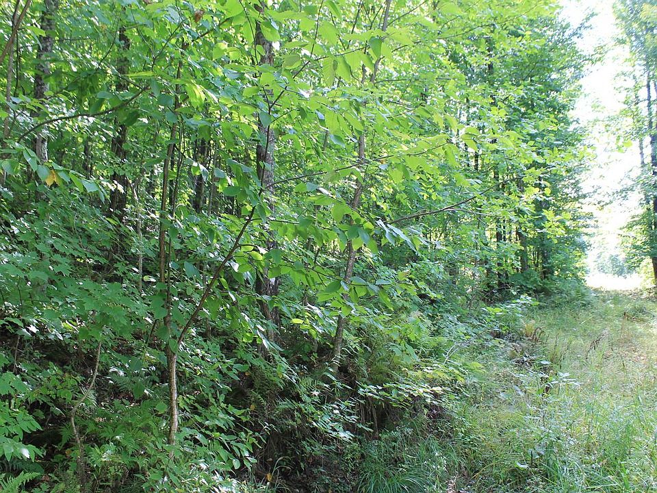 LOT 25 Alpine Shores Dr, Upson, WI 54565 MLS 193212 Zillow