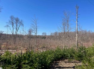 PARCEL 4 King Rd, Benzonia, MI 49616
