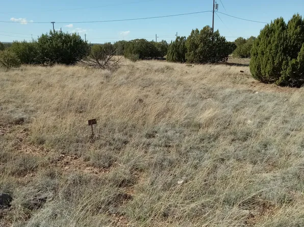 1794 Fox Cir, Show Low, AZ 85901