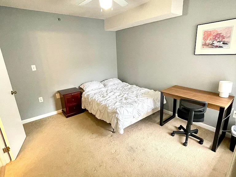 1401 Collegiate Cir #302 — Photo 15