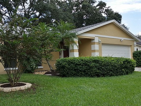 Palm, Crape Myrtle& Hibiscus