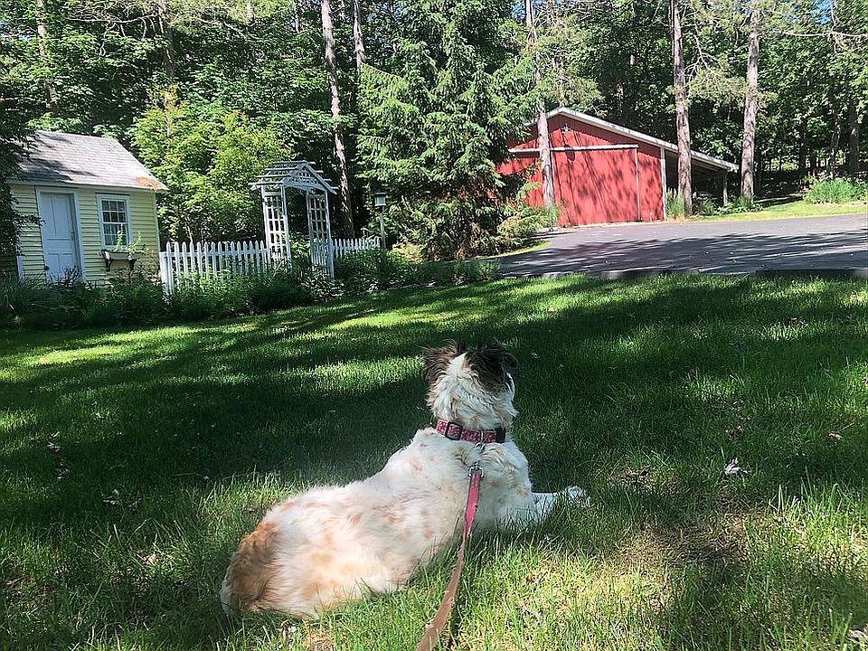 212 Park St, Bellaire, MI 49615 Zillow