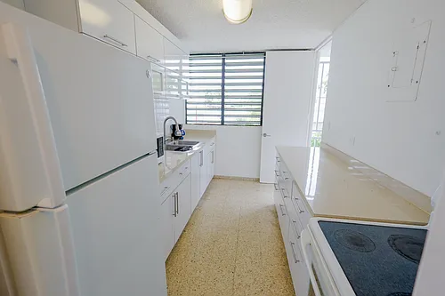L304 Avenue Luis Vigoreaux #304 Photo 1