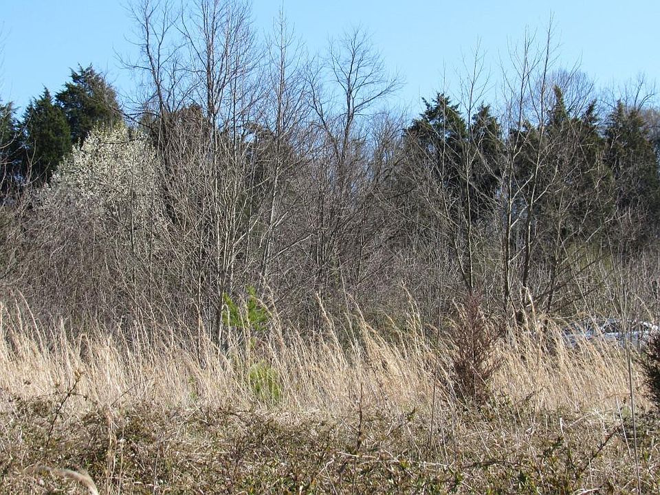 2nd image of LOT 6 Rock Springs Rd