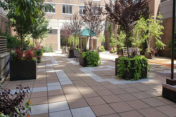 Rented by Maz Group NY | media 58