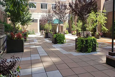 Rented by Maz Group NY