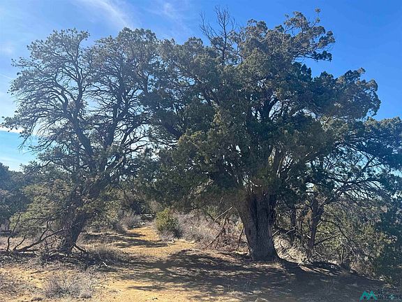 5th image of 0 Panther Rd