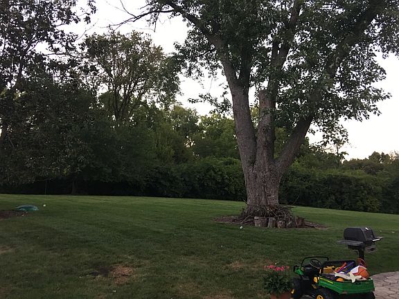 5th image of 629 Oak Valley Dr