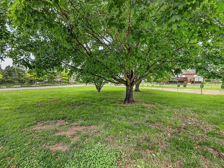 1015 Brinkley Rd — Photo 44