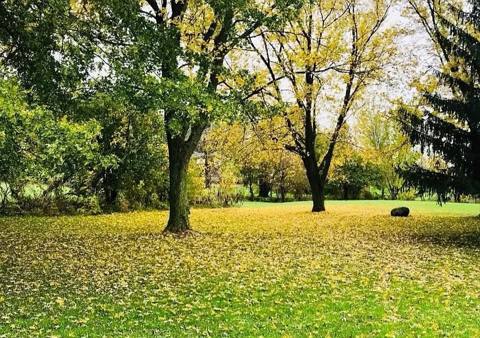 2 bed, 1000 sqft, $900 — Photo 2