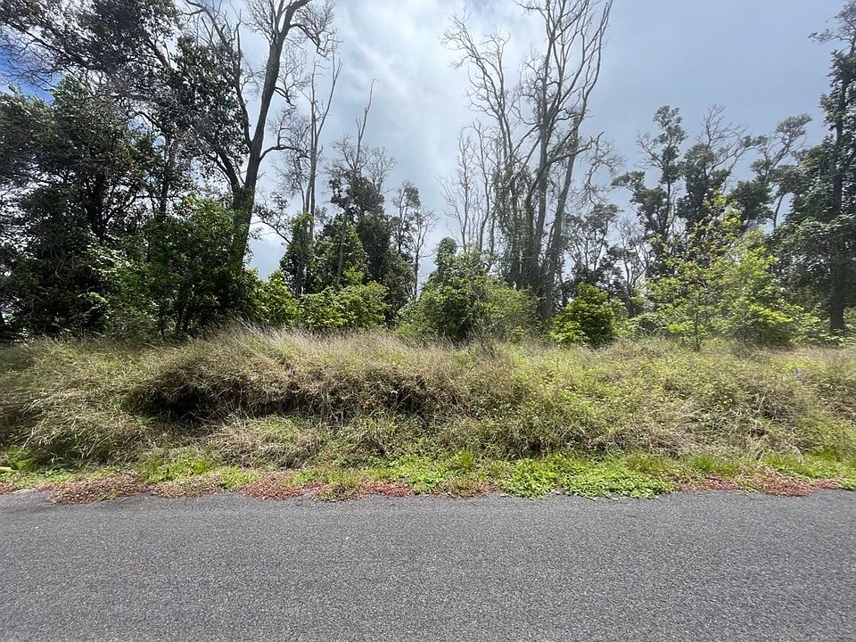 2nd image of Mahimahi Dr Lot 33